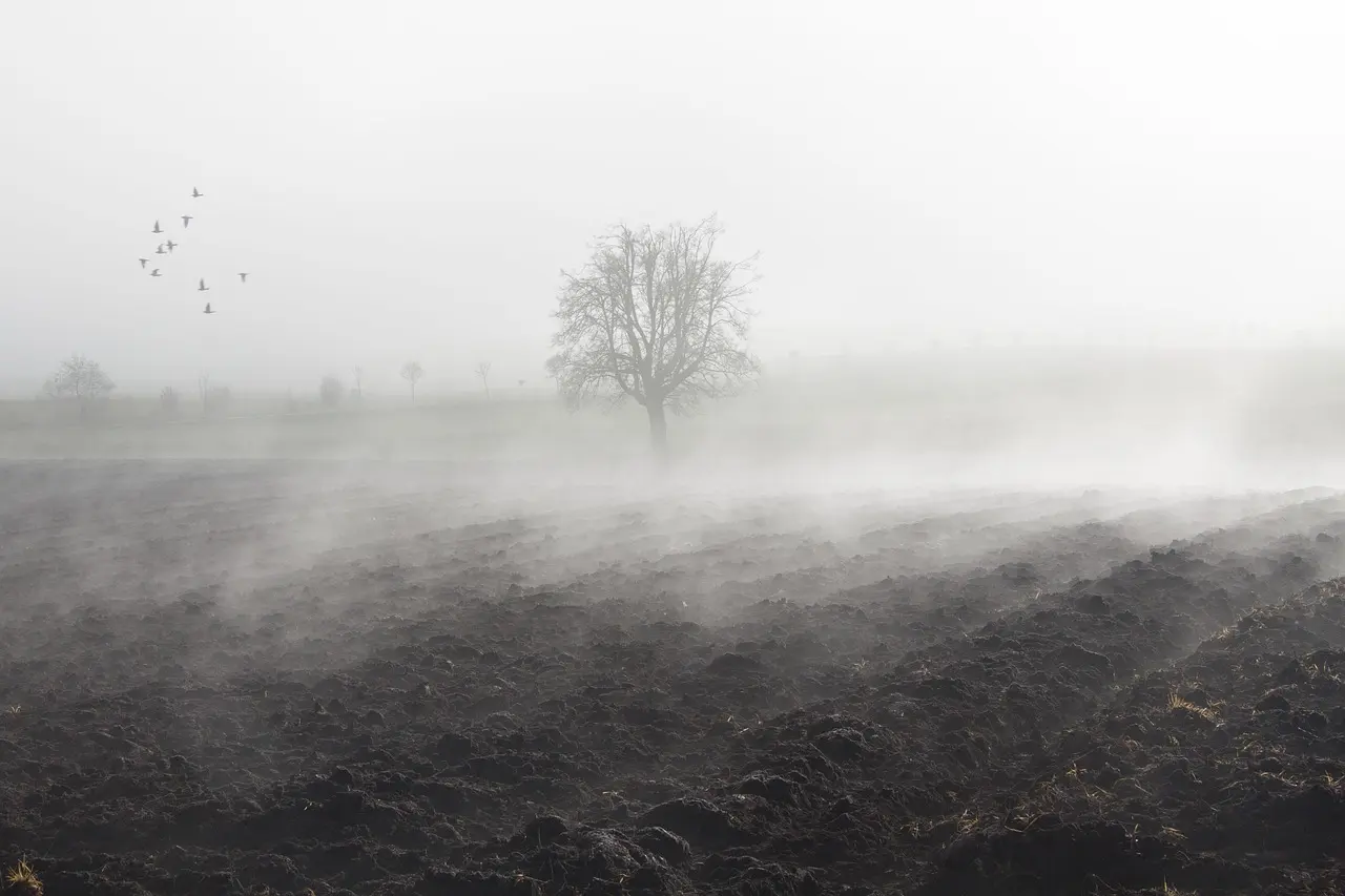 Hvordan er vejret i Schweiz i november?