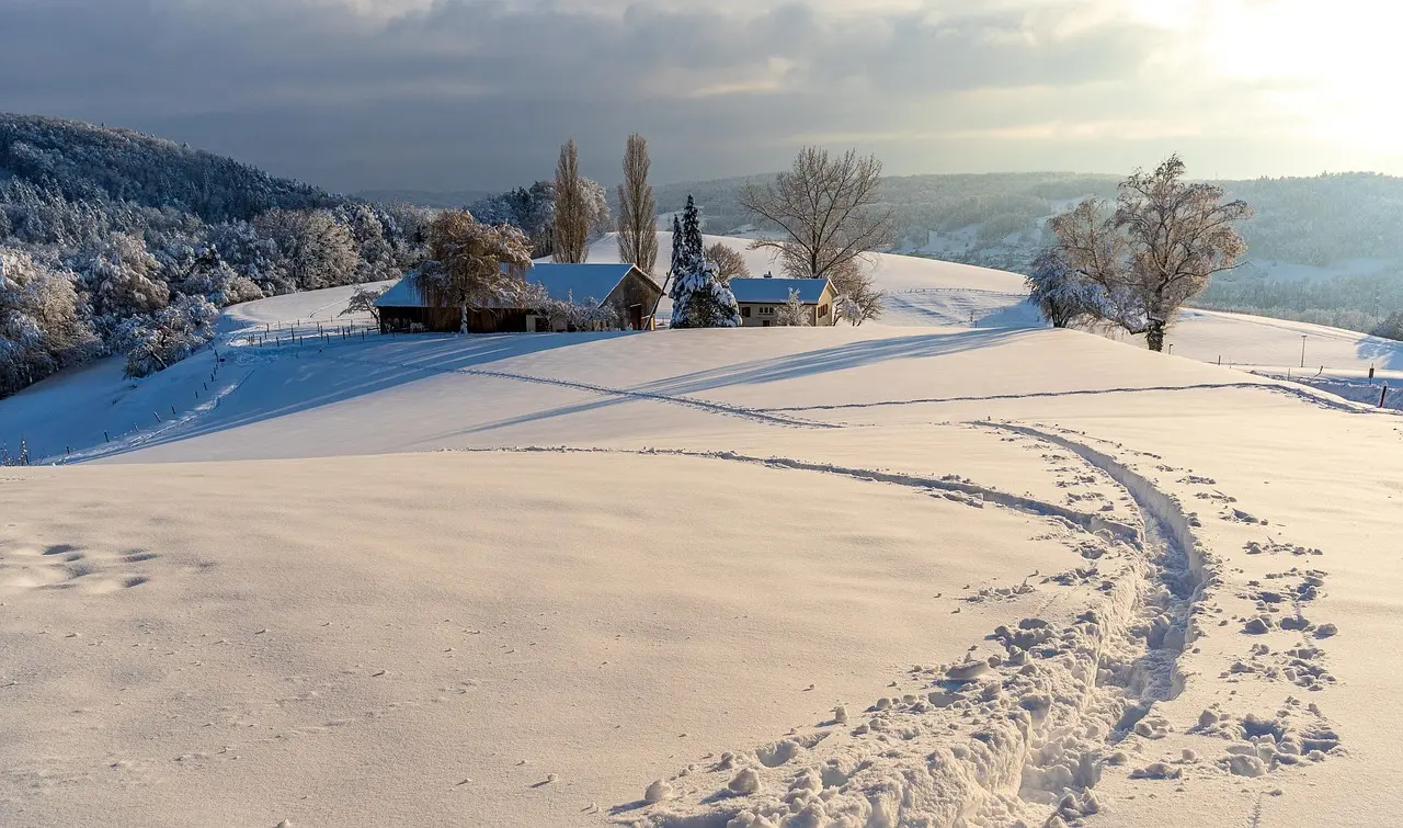 Hvordan er vejret i Zürich i februar?