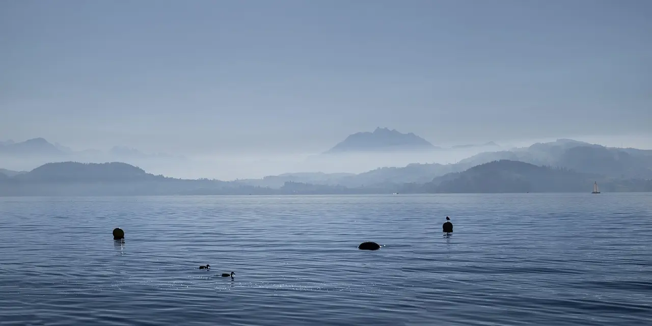 Hvilke skatter betaler man i kanton Zug?