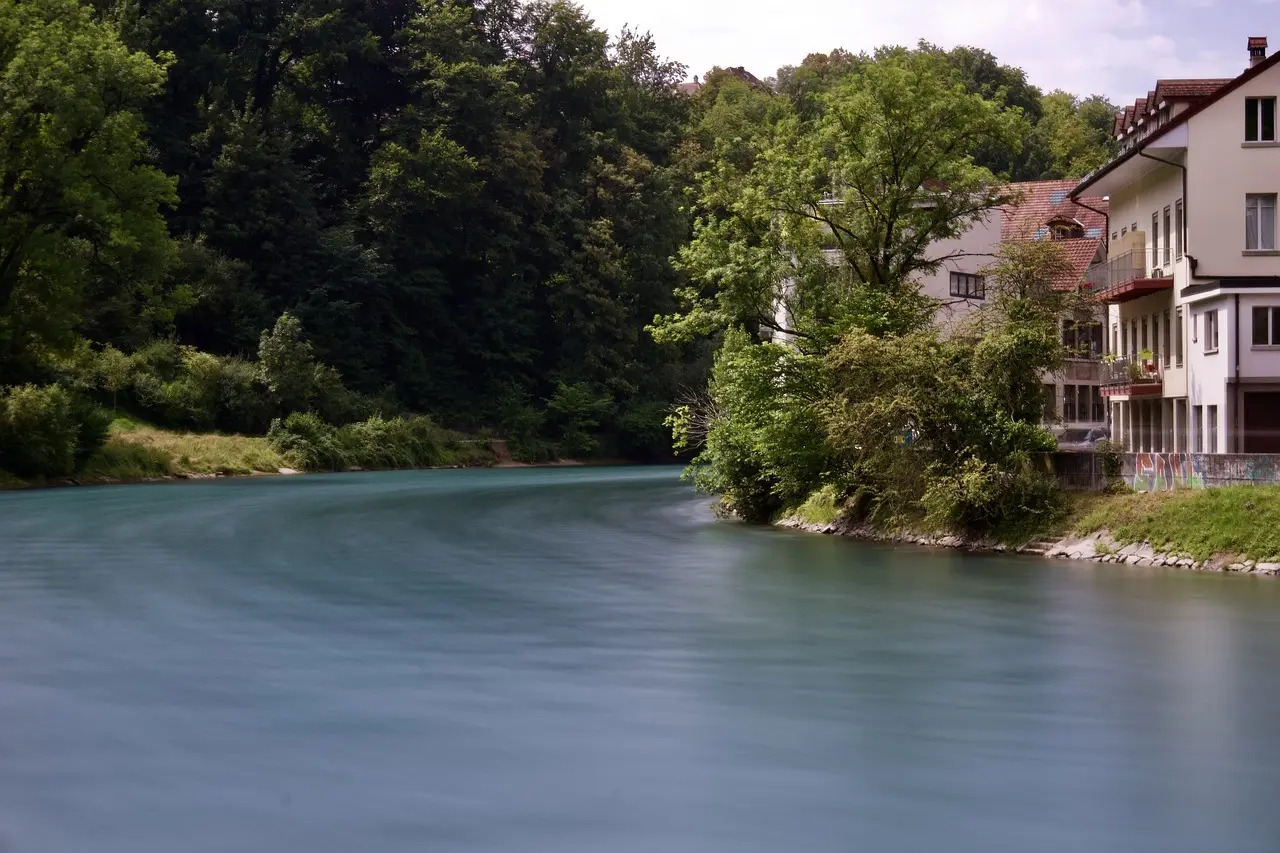 Sådan ansøger du om hundeskat i kanton Bern